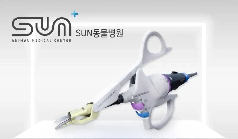 SUN동물병원 로고 옆에 놓인 흰색 손잡이의 썬더비트 수술 기구